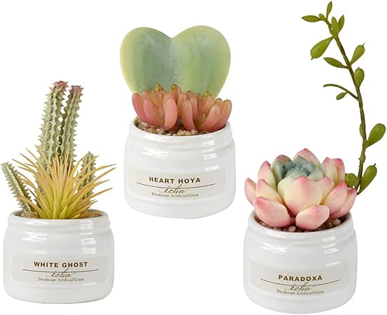 Amazon 抗菌 消臭 防汚効果 人工観葉植物 エクリア サボテン カラフル多肉 3pセット A Ask Trading 人工観葉植物 Amazon 抗菌 消臭 防汚効果 人工観葉植物 エクリア サボテン カラフル多肉 3pセット A Ask Trading 人工観葉植物