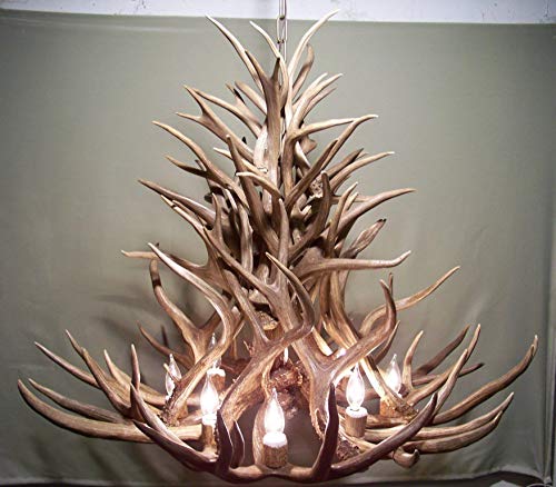 REAL ANTLER CHANDELIER, 8 LIGHTS, SHED ANTLER ART, ELK COVERED SOCKETS HANDMADE EXTRA LARGE