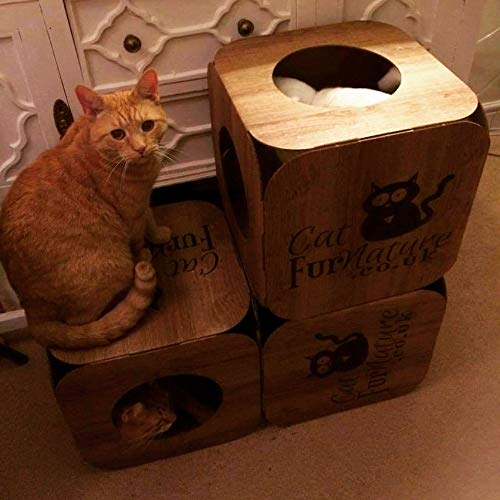 Cartone Gatto Cube (3 Fori), Effetto Legno