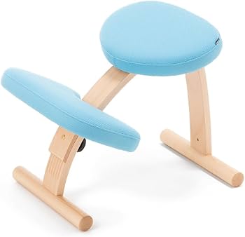 【美品】サカモトハウス バランスチェアイージー　ブルー(ショートフレーム)① Amazon.co.jp: バランスラボ バランスイージー 通常フレーム 通常箱