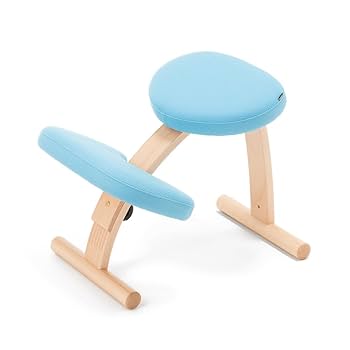 【良品】サカモトハウス バランスチェアイージー ライトブルー Amazon.co.jp: バランスラボ バランスイージー 通常フレーム