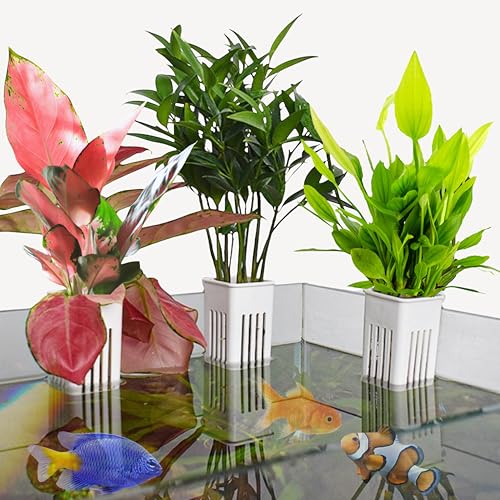 Image of 2pcs Aquarium Plant Holder, Fish Tank Plant Holders, Hanging Aquatic Planted Pot Planter Pot, Aquatic Tanks Grass Holders Hydroponic Plants Cups, Aquaponic Basket, Fish Tank Decorations (Basket White)