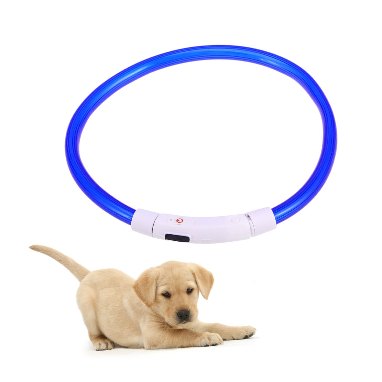 BESPORTBLE 3pièces Collier LED Et Rechargeable pour Chien Collier Lumineux Étanche avec Modes Clignotants pour Sécurité Bleu