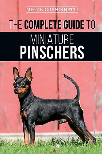 The Complete Guide to Miniature Pinschers: Training, Feeding, Socializing, Caring for and Loving Your New Min Pin Puppy image 3