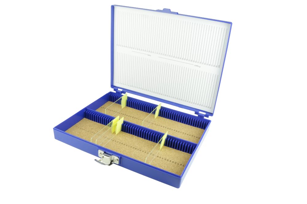 Neolab 2 x 2438 Slide Box pour 100 OT, PS Bleu