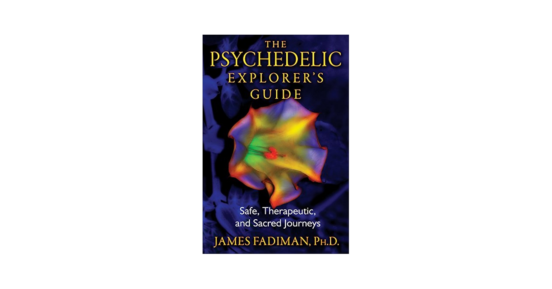 The Psychedelic Explorer's Guide: Safe, Therapeutic, and