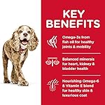 Hill's Science Diet Dry Dog Food, Adult 11+ for Senior Dogs, Small Paws, Chicken Meal, Barley & Brown Rice Recipe, 4.5 lb. Bag - Image 4