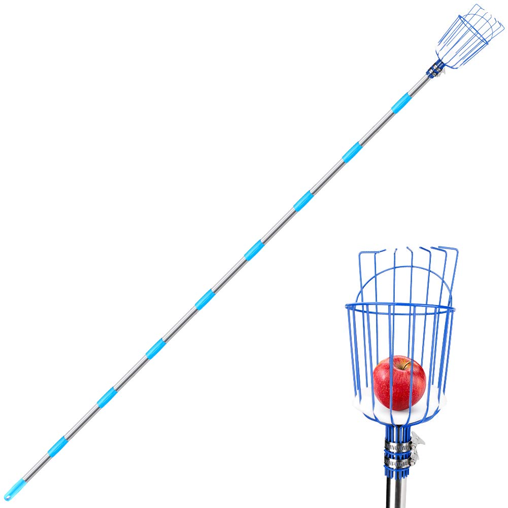 Achort Fruit Picker Tool, 13-Foot Fruit Picker with Light-Weight Aluminum Telescoping Pole and Basket, Fruit Grabber Easy to Assemble, Use Fruits Catcher Tree Picker for Getting Apple (Blue)