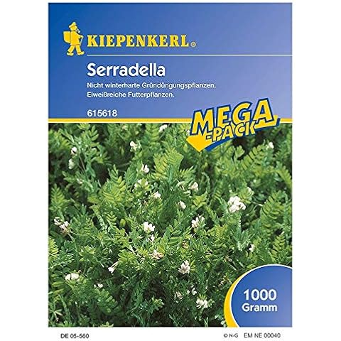 Seradella Gründünger, Nicht Winterharte Gründüngungspflanzen, Eiweißreiche Futterpflanzen, bildet zahlreiche Knöllchenbakterien die Stickstoff Cover