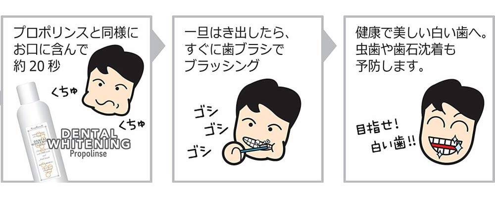 プロポリンスデンタルホワイトニング６００ＭＬ × 3個セット