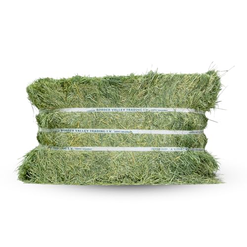 Border Valley Bermuda Grass Hay Bale, 40 lb