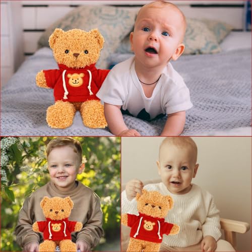 Kuscheltier Teddybär Plüschtier, kuscheltier bär mit Kapuze，Stofftier Schmusetier zum Kuscheln & Spielen, Plüschtier Teddybär Geschenk, Teddybär Plush Dekoration für Jungen und Mädchen (Rot 30cm)
