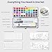 Watercolor Paint Set, 50 Colors, 4 Brushes, 3 Swatch Cards, Palette, Acrylic Marker Pen, and Accessories Included, All in One Portable Travel Watercolor Kit, Art Supplies Gift for Beginners, Adults, Artists, and Hobbyists