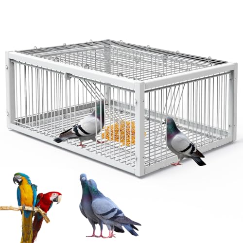 MOGOULUA Jaula para palomas, 60 cm, con claraboya superior abierta, jaula de pájaros de palomas, palomas de carne, palomas de nieve, codornices (blanco)