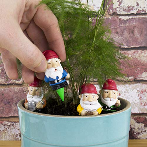 Gnomes pot de fleurs multicolore GR450112 déco jardin intérieur