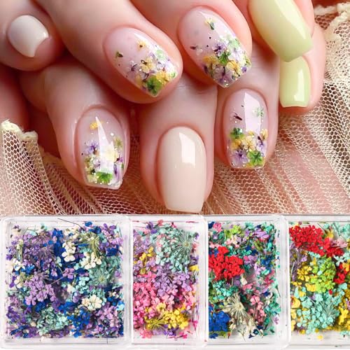 4 Boxes 3D Dried Flowers for Nails Mini Dried Flowers Nail Stickers Decals Colorful Tiny Floral Petals Real Natural Dried Pressed Flowers for DIY Crafts Resin Jewelry Manicure Decor
