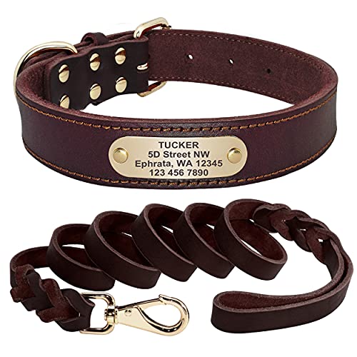 Beirui Leder-Hundehalsband und Leine, Set, maßgeschneidertes Hundehalsband mit geflochtener Leder-Leine, graviertes Namensschild für mittelgroße und große Hunde (braun, 41,9-53,3 cm Halsumfang) Cover
