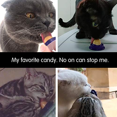 Honorall Efeito longo Catnip Comestível Açúcar Gato Creme de Nutrição Lambendo Sólidos Gatinhos Doce
