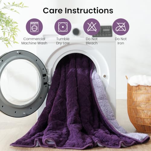 Image of Drewin Queen Size 15lbs Weighted Blanket for Adults, Soft Cozy Turtleback Sherpa Weighted Blankets for Sleeping and Calming, Thick Bed Blanket for Couch Bed, 48 x 72 inches, Dark and Light Purple