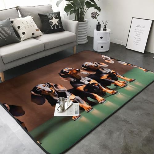 Tapis en flanelle teckel Weiner isolant et doux pour réchauffer une pièce froide - 3