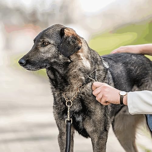 Sprenger - Hundekratzer, Unterwolle und Dreck entfernen, Stahl vernickelt - Silber