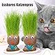 Graskopf Set, Mini Bonsai Gras Kopf Figure Puppen Schön Graskopf Stile Blumentopf Kopf Mit Einer Kleinen Sprühflasche für Desktop Zimmer Home Decorations (Grünes Gras)