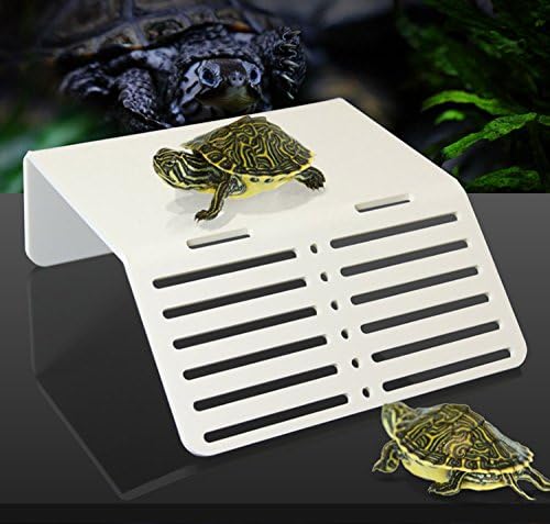 Reptile Turtle Pier Topper Basking Platform Steps Landing Island Mini Nano Simple Aquarium Tank arcylic Single Style