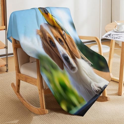 Manta de forro polar texturizada de 180 x 200 cm para salones 5