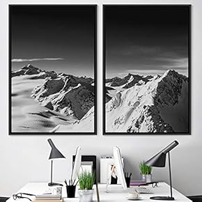 signwin 2 Piece Framed Canvas Wall Art Monochromatic...