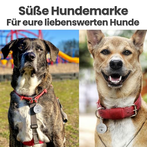 Meinearmbänder Hundemarke mit Gravur – personalisierbar mit Namen – 30 mm – Namensschild für Halsband – Anhänger für Hunde, Katzen & Welpen – inkl. Symbolauswahl
