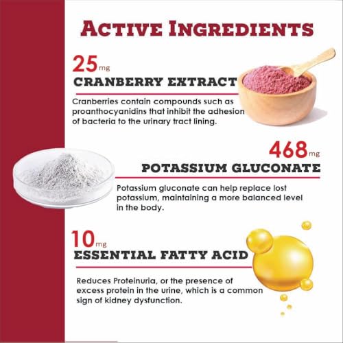 Image of K-Plus Potassium Gluconate Renal Gel Plus Cranberry and EPA for Dogs and Cats - Veterinarian Approved Renal Supplement - Supports Potassium Balance -(2 Pack)