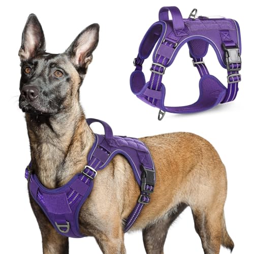 rabbitgoo Tactical Dog Harness for Large Dogs, No Pull Military Service Vest with Handle & Molle, Easy Control for Training Walking, Adjustable Reflective Straps, Purple, L