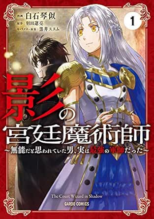 影の宮廷魔術師