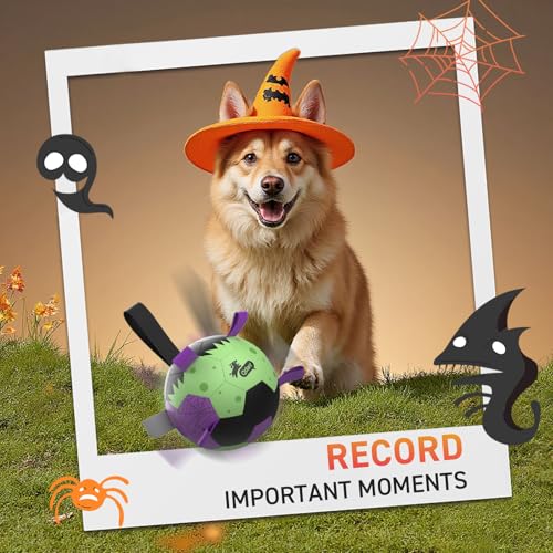 Image of QDAN Halloween Dog Toys, Dog Soccer Balls with Straps, Outdoor Dog Toys | Dog Balls, Herding Balls Toys for Small Medium Dogs, Puppy Pet Birthday Gifts, 6 Inch Purple Green
