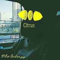 邦楽 The Whoops Citrus 邦楽 The Whoops Citrus Amazon.com: Citrus: CDs & Vinyl