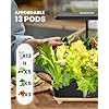 RAINPOINT Indoor Hydroponics Growing System,13 Pods Hydroponic Garden Planter, Vegetable Kit
