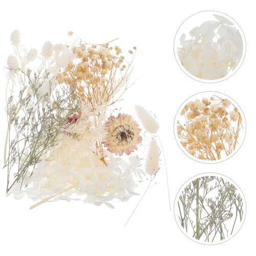Flores secas prensadas para manualidades DIY resina miniatura 6