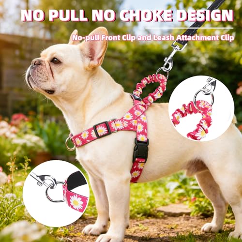 Image of PUPTECK No Pull Dog Harness Small Sized Dog, Adjustable Reflective Pet Vest Harness with Bungee Handle, Escape Proof No Choke Harness for Small Dogs Walking Training, Fuschia Daisy S
