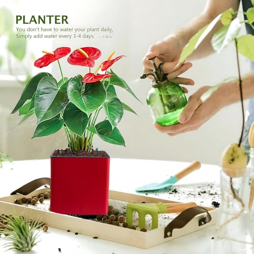 Image of Indian Discovery Self Watering Wall Hanging Planter|Hanging /Hooked Flower Pots for Home, Balcony, Vertical Garden Decor Flower Pots(1 PC, Maroon, Square) |6 Inch UV-Resistant Plastic Plant Pots
