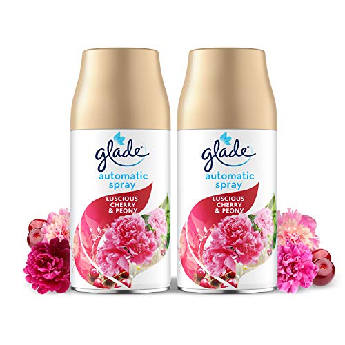 10 Best Glade Auto Fresheners 2024 There's One Clear Winner
