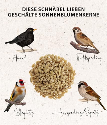 Dehner Natura Premium Vogelvoer voor wilde vogels, gepelde zonnebloemzaden, in emmer, 5 kg - Afbeelding 5