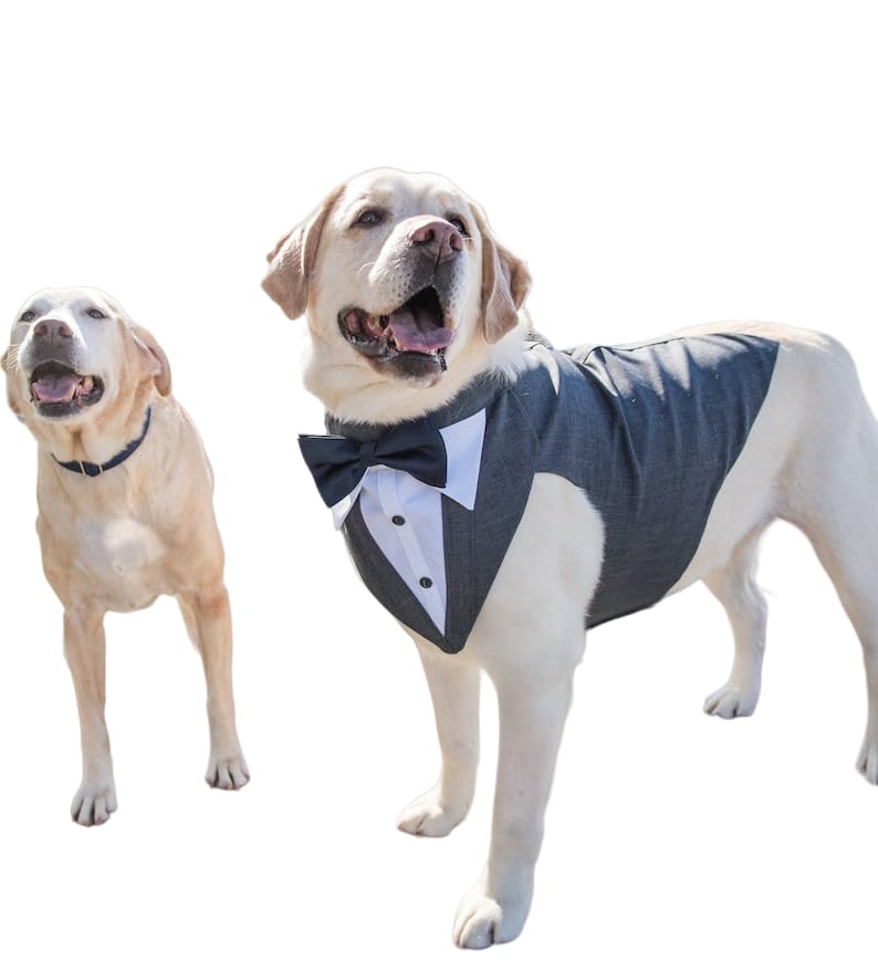 Dog Tuxedo and Bandana Set, Dog Clothes Black Bow Tie, Dog Dresses forDogs Wedding Party,and Casual, Dog Prince Shirt Formal Dog Weeding Attire (Grey) (34) (B0CPMDMLV1) Amazon Price History, Amazon Price Tracker