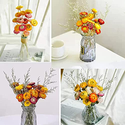 Ramo de flores secas naturales margaritas 40 pcs miniatura 6