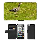 Grand Phone Cases