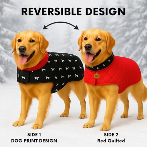 Image of Sage Square Dog Print 3-Layered Jacket Windproof - Durable, Water-Resistant, Comfortable Fit, Stylish Dog Coat with Trendy Design Deal for Cold Weather, Indoor & Outdoor (Printed, L - 18 Inch)