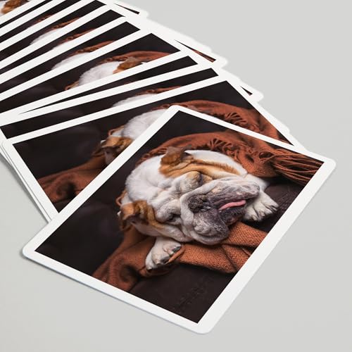 Baraja de cartas Póker Lantern Press Bulldog inglés miniatura 5