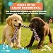 Imagen de WOOF&MIAU® Pack 8 Juguetes para Perros