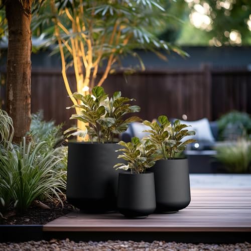 Image of Kante Set of 3 Black Concrete Curved Round Planters for Modern Home | Handcrafted, Premium, Durable, All-Weather Cement Pot, Drainage for Outdoor, Rubber Plug for Indoor Home, Anti-Frost & UV