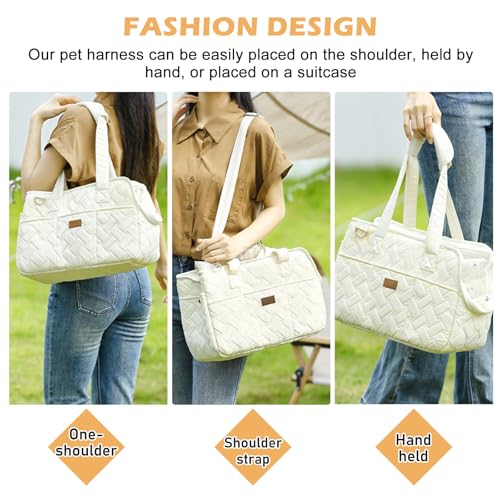 Hundetragetasche bis 5kg – Hundetasche für kleine Hunde Katze, Tragetasche Hund, faltbar, atmungsaktiv, mit Sicherheitsgurt, Taschen, Transporttasche, ideal für Outdoor, Reisen, Auto (41x30x18cm)