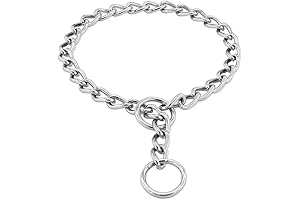 Durable Chain Collar for Medium Dogs